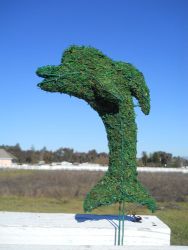 Dolphin Frame Topiary with Moss 16 inches tall